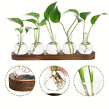 Glass bulb propagation station on a wooden stand