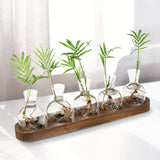 Glass bulb propagation station on a wooden stand