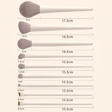 Twelve piece makeup brush set